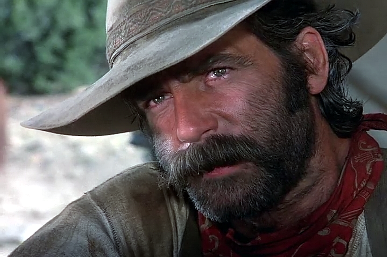 Tom Selleck Westerns: The Sacketts | My Favorite Westerns1351 x 898